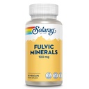 Solaray Fulvic Minerals 100 mg | Himalayan Shilajit | Gesunde Verdauung, Haut und Gehirn Unterstützung | 30 VegCaps