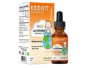 Kiddivit Baby Lactoferrin Flüssigkeitstropfen – Gentle Immununterstützungsergänzung – 100 mg Formel mit Prebiotic Inulin – 60 tägliche Servierungen – Zuckerfrei, Glutenfrei, Vegetarisch, 2oz