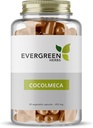 Evergreen Kräuter Cocolmeca Kapseln - 450 mg. - 90 Kapseln - Smilacaceae, Greenbrier, Sarsaparilla, Smilax