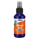 JETZT Nahrungsergänzungsmittel, Silber Sol 10 PPM mit elementarem Silber und entionisiertem Wasser, Flüssigkeit, 4-Ounce