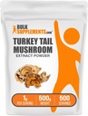 BulkSupplements.com Türkei Tail Mushroom Extract Powder - Coriolus Versicolor Extract, Pilzergänzung - Vegan & Glutenfrei, 1g pro Servierung, 500g (1.1 lbs) (Pack von 1)