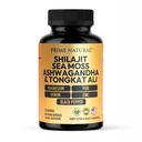 Shilajit 10 000mg, Moss de mer d'Irlande 2000mg, Ashwagandha 3000mg, Tongkat Ali 30 000mg, Boron, Magnésium, PQQ et plus...60 Capsules - 30 jours d'approvisionnement