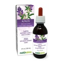 Naturalma Alfalfa oder Lucerne (Medicago Sativa) Kräuter mit Blumen Alkoholfreie Tinte - Reich an natürlichem Chlorophyll - 4 fl oz Flüssiger Extrakt in Tropfen - Kräuterergänzung - Vegan