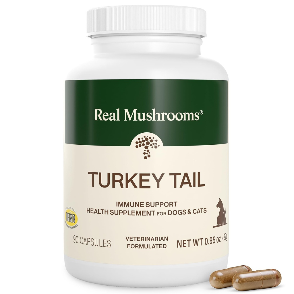 Echte Pilze Türkei Tail Kapseln für Haustiere –Kat Probiotics & Hunde Vitamine – Organic Mushroom Supplement für Hunde & Katzen – Unterstützt Daily Balance & Well-Being Non-GMO, 90 ct