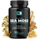 Irish Sea Moss Capsules avec de la mousse d'Irlande biologique, 300mg de racine de dard et 500mg de poudre de bladderwrack.