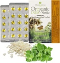 Oreganic Plus Mastic - Oregano Essential Oil Capsules & Chios Mastic Gum Oil - Wild Oregano Oil Capsules Organiques - Immune Booster et Soutien intestinal - Non-OGM - 30 Plaquette Count
