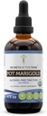 Secrets of the Tribe Pot Marigold USDA Organic | Alkoholfreier Extrakt, hochkarätige Kräutertropfen | Hergestellt aus 100% zertifiziertem Bio-Pot Marigold (Calendula, Calendula Officinalis) Getrocknete Blume (4 oz)
