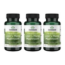 Swanson Lion's Mane Mushroom - Traditionelle Brain Booster Ergänzung Hericium Erinaceus (60 Kapseln, 500mg Jeder) 3 Pack