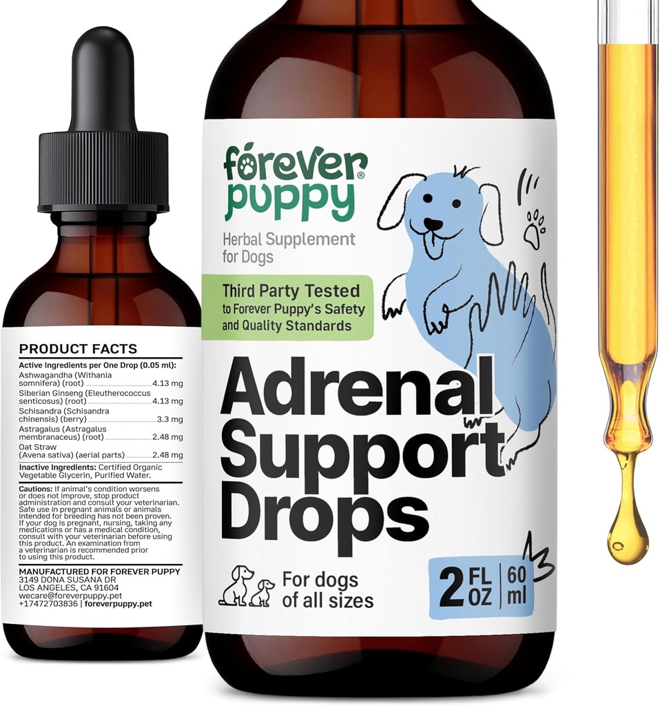 Des gouttes de soutien adrénal pour chiots pour chiens - Teinture de racine d'Ashwagandha et de Ginseng purs pour la santé et l'énergie adrénales - Supplément liquide pour soins calmants pour chiens de toutes races et tailles - 2 oz