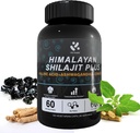 Shilajit Himalayan Supplement 60% Fulvic Säure, 120 Vegan Kapseln Versorgung mit reinen natürlichen Shilajit, Ashwagandha, Ginseng Extract - Hohe in Trace Minerals für Männer Energieunterstützung