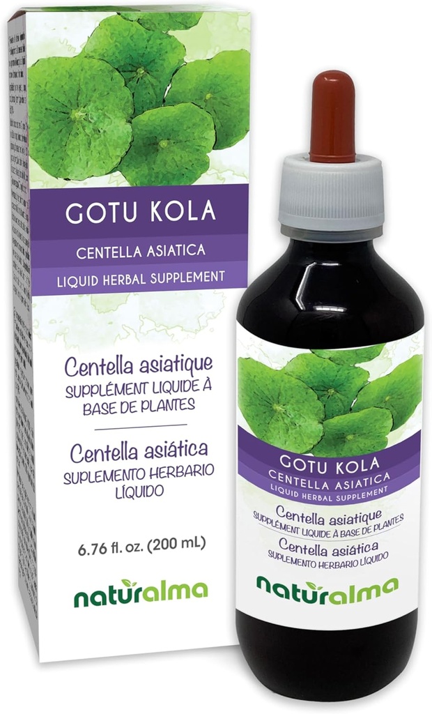 Naturalma Gotu kola (Centella asiatica) herbe Teinture sans alcool - 6,76 fl oz Extrait liquide dans les gouttes - supplément à base de plantes - végétalien