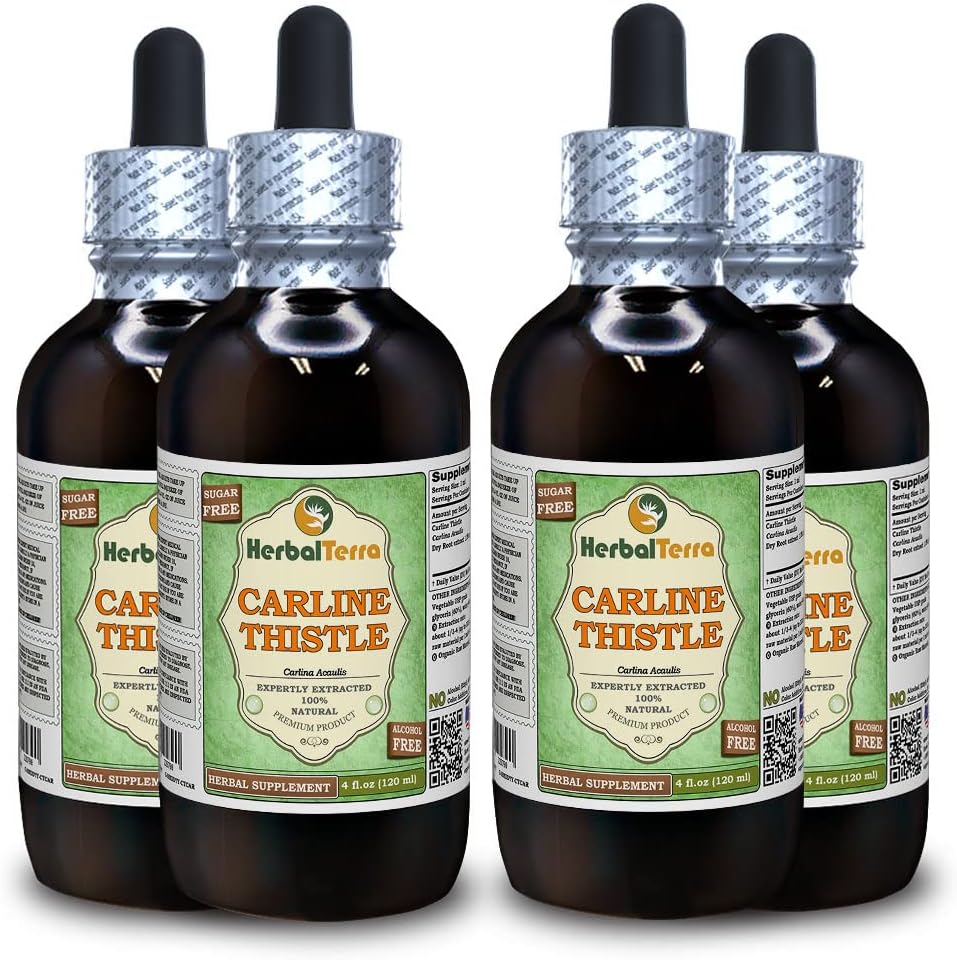 Chardon (Carlina acaulis) Glycérite, racines séchées Extrait liquide sans alcool (Marque: HerbalTerra, Fièrement fabriqué aux États-Unis) 4x4 fl.oz (4x120 ml)