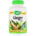 Nature's Way Ingwer Root 550 mg, Kapseln 180ea
