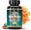 Organic Irish Sea Moss Capsules - Advance Formula, Raw Wildcrafted Seamoss Supplement mit Bladderwrack und Burdock Root - 180 Pillen - Made in USA