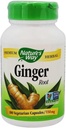 Nature's Way Premium Kräuterginger Root, Verdauungshilfe, 550 mg, 100 Vegetarische Kapseln, Packung von 2