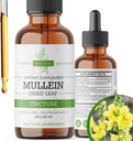 Mullein Tincture – Bio Mullein Tropfen für Lung Support & Respiratory Wellness – Made in the USA – 2 Fl Oz