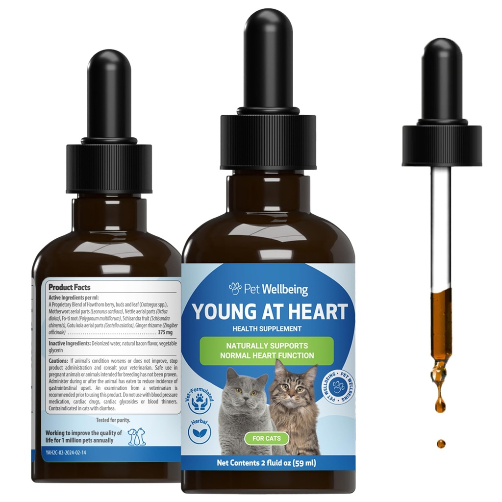 Pet Wellbeing Young at Heart for Cats - Vet-Formuliert - Herzgesundheit, Kreislauf- & Herz-Kreislauf-System, Hawthorn, Mutterwort, Schisandra - Kräuterergänzung 2 oz (59 ml)