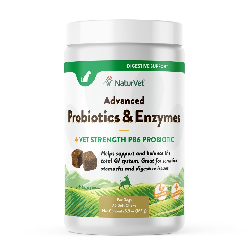 NaturVet Advanced Probiotics & Enzymes, PB6 Dog Soft Chews, um empfindliche Stomachs und Verdauungsprobleme zu helfen, Hickory Smoked Bacon Flavored Pet Supplement für Hunde über 6 Wochen, 70 Count Jar