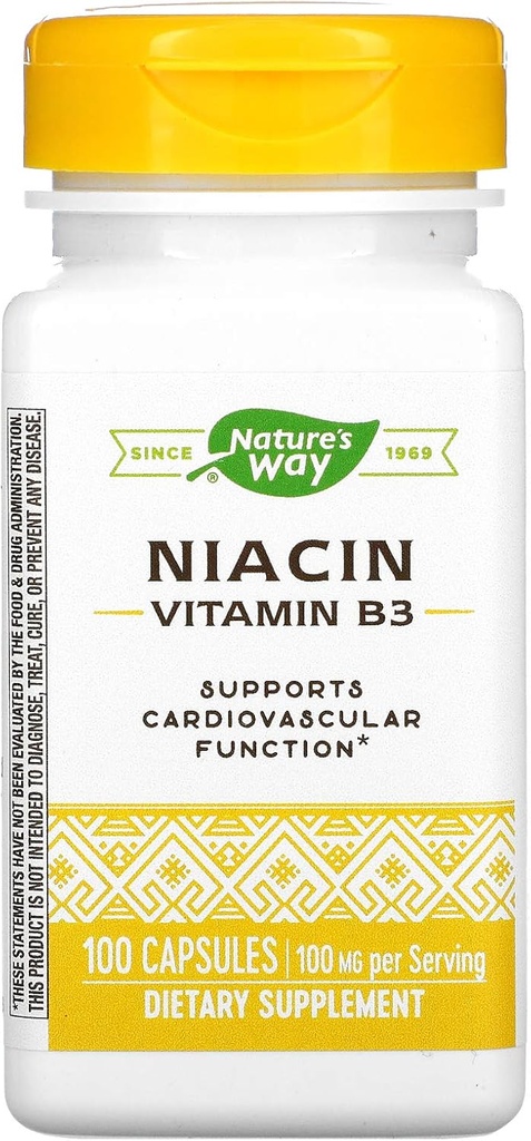 Niacin, Vitamin B3, 100 mg, 100 Kapseln, Natur's Way