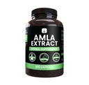 PURE ORIGINAL INGREDIENTS Amla Extract (365 Kapseln) Kein Magnesium oder Reisfüller, Immer rein, Lab Verifiziert