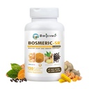 Supplément de support immunitaire joint, complexe de curcumin curcumin curcuma à mélange breveté avec poivre noir, extrait et gingembre de Boswellia PS, à action rapide 20 minutes, libération prolongée de 8 heures, 120 capsules - Sanjevani