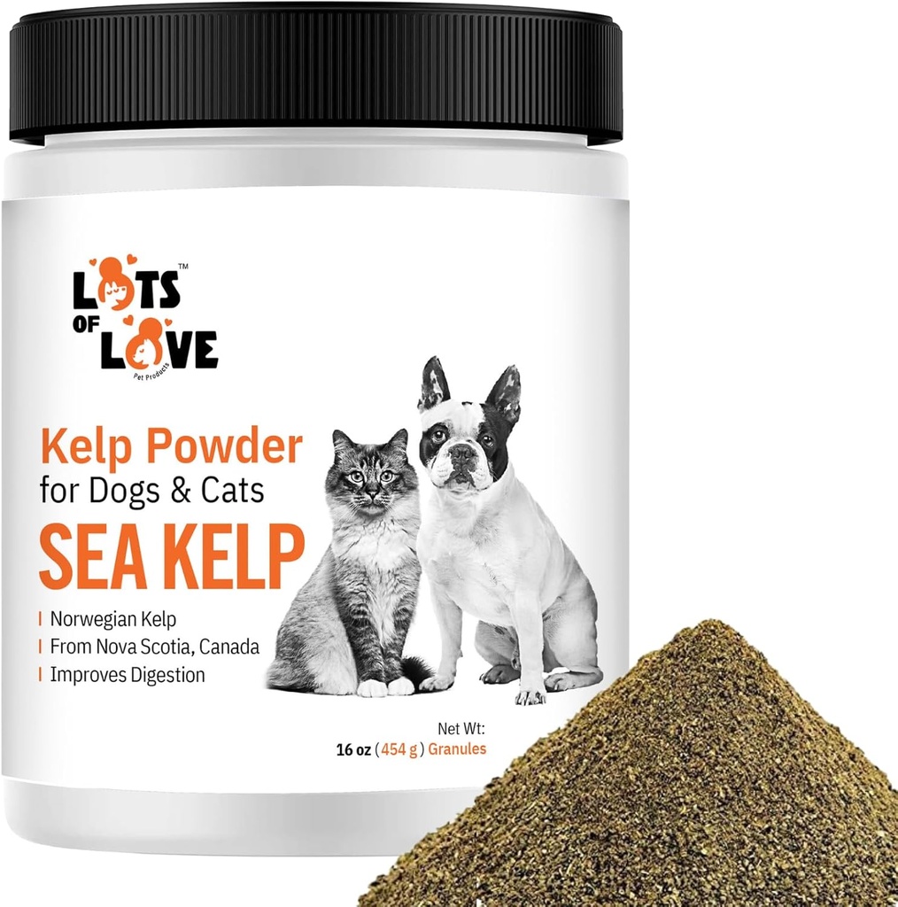 Kelp-Pulver für Hund und Katze - Bio Sea Kelp Supplement Granulat (16 Oz, 1 Pfund)