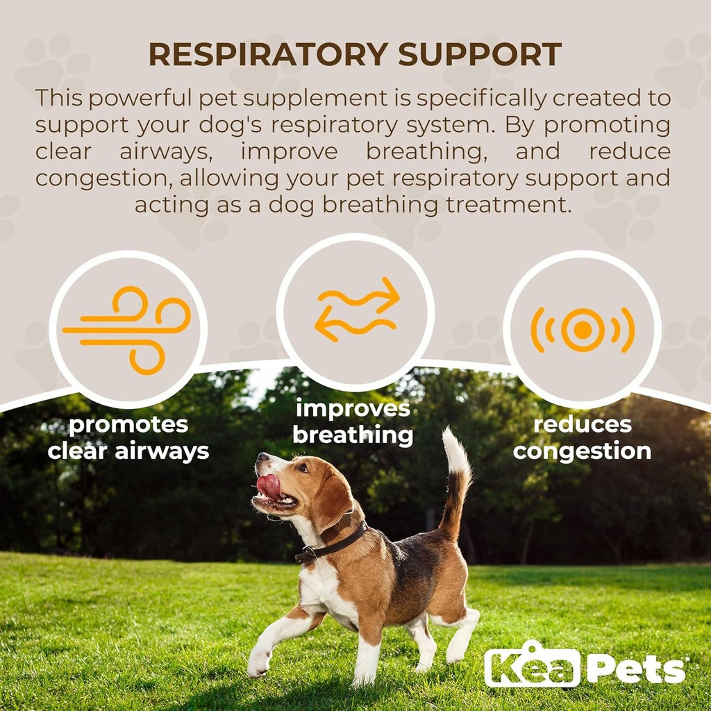 Doggie Condiments Pet Respiratory Support Eine natürliche Hundeergänzung für eine optimale Hundeatmung, klare Sinuses, Husten, Niesen und Stauhilfe für Hunde