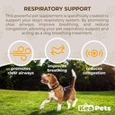 Doggie Condiments Pet Respiratory Support Eine natürliche Hundeergänzung für eine optimale Hundeatmung, klare Sinuses, Husten, Niesen und Stauhilfe für Hunde