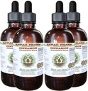 Cinnamon Alcohol Free Liquid Extract, Cinnamon (Cinnamomum Verum) Getrocknete Bark Glycerite Hawaii Pharm Natural Herbal Supplement 4x4 oz