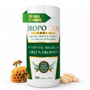 Beelife Green Propolis Kapseln- 100% Green Propolis und Bienen Pollen Kapsel Supplement- Propolis Extrakt, Authentic Brazilian - Zertifiziert ISO 22000, Kosher (120 Kapseln)