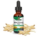 Nature's Answer White Ginseng Root Alcohol Free 1 Fluid Unze | Immununterstützung | Fördert kognitive Funktion | Mentale Klarheit und Fokus