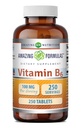 Erstaunliche Formeln Vitamin B6 Ergänzung | 100 Mg pro Servieren | Tabletten | Non-GMO | Gluten-Free | Made in USA (1 Pack, 250 Count)