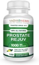 Certified Organic Vadik Herbs Prostate Rejuv Kräuter Nahrungsergänzung | Fördert gesunde Prostata Gesundheit und Reduziert verwandte Symptome, unterstützt normale Prostata Arbeitsweise (1 Pack)