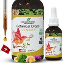 Natürliche Botanische Tropfen – Ingwer und Verdauungsenzyme in einer Bio-Formel für umfassendes Wellness, unterstützen Immunsystem, fördern Entzündungsentlastung und verbessern Blutzirkulation (50ml)