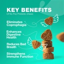 Keine Poo Chewables für Hunde - Enzyme, Dog Probiotics for Digestive Health - Canine Digestive, Gut & Immune Health Supplement