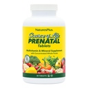 Natures Plus Source de vie Prénatale - 800 mcg Folate, 90 comprimés végétariens - Tous les vitamines et minéraux prénatals naturels avec fer et calcium - Santé et énergie optimales - Sans gluten - 45 portions