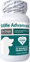 Projekt Paws Gleich für Hunde - Leberunterstützung für Hunde mit Vitamin B - Kognitive Hundeergänzung - S Adenosyl Methionine für Hunde - 60 ct.