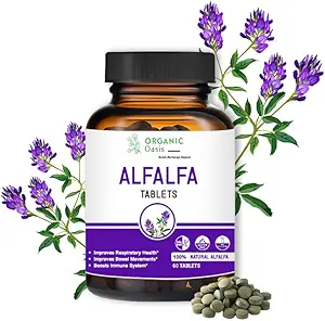 Alfalfa Medicago Sativa Tablets, 60 Tabletten, Verbessert die Atmungs-Gesundheit und Bowel-Bewegungen, Steigt Immunsystem, Organische und natürliche | Superfood-Ergänzung | Vegan