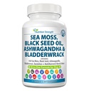 Sea Moss für Hunde 750mg Schwarz Seed Öl 500mg Ashwagandha 250mg Turmeric 250mg Bladderwrack 250mg Dandelion 250mg & Vitamin C Vitamin D3 mit Elderberry Manuka Yellow Dock 90 Tabletten