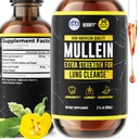 HERBIFY Mullein Extract 2 oz Tinktur für Atmungsgesundheit, Mullein Leaf und Blumenmischung (Verbascum Densiflorum)