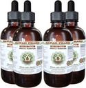 Hibiscus Alcohol-Free Liquid Extract, Organic Hibiscus (Hibiscus Sabdariffa) Getrocknete Blume Glycerite Hawaii Pharm natürliche Kräuterergänzung 4x4 oz