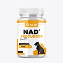 Kilab NAD+ Precursor Ergänzung für Hunde - Unterstützt gesundes Altern & Skelett Muskelunterstützung & Erholung - Gehirn, Herz, & Cellular Energy Support - Nicotinamid Riboside Chloride - 60 Kapseln