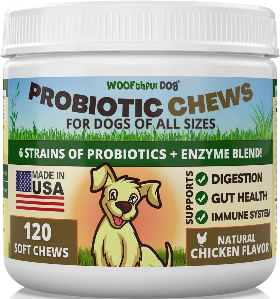 Probiotika für Hunde - Verdauungsmedizin, Gut Flora, Bowel-Unterstützung, Immunsystem-Unterstützung - Soft Chews-Ergänzung für Hunde 120 ct, Made in USA