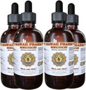 Sinicuichi Liquid Extract, Sinicuichi (Heimia Salicifolia) Tinktur, Kräuterergänzung, Hawaii Pharm, Made in USA, 4x4 fl.oz