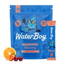 Waterboy Weekend Recovery (en anglais seulement) 3 200mg Electrolyte Powder Packets (en anglais seulement) Ginger + L-Theanine + Vitamines (en anglais seulement) Pas de sucre, tout naturel, sans gluten