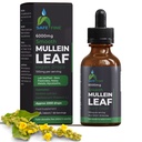Bio Mullein Tincture Tropfen für die Atmungsgesundheit – Natürliche Lung-Unterstützung, Alkoholfrei, Vegan, Non-GMO, Kräuterextrakt, 2 Foz (60ml) Natürliche Schlafhilfe und Immununterstützung
