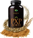 Alfa PXP Forte 150 grm 30 portions Bouteille au sol