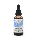 Astragalus USDA Organic Alcohol-Free Extract | Nahrungsergänzung, Hochfeste Tinktur | Natürliche zertifizierte organische Astragalus (Astragalus membranaceus) Getrocknete Wurzel (2 oz)