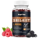 Shilajit Gummies 1000mg - Shilajit Pure Himalayan Organic für Herren & Frauen 85+ Trace Minerals Shilajit Resin mit Ashwagandha, Maca, Black Seed Oil - Energie, Gehirn, Immunität, Sugar Free Raspberry 60ct