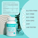 Stress-Relief mit Ashwagandha + L-Theanine, GABA | Daily Dose, 60 Gummies